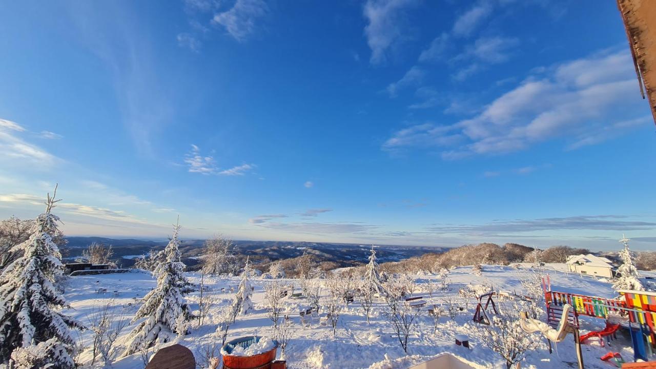 Pensiune Runcu Stone Exteriör bild