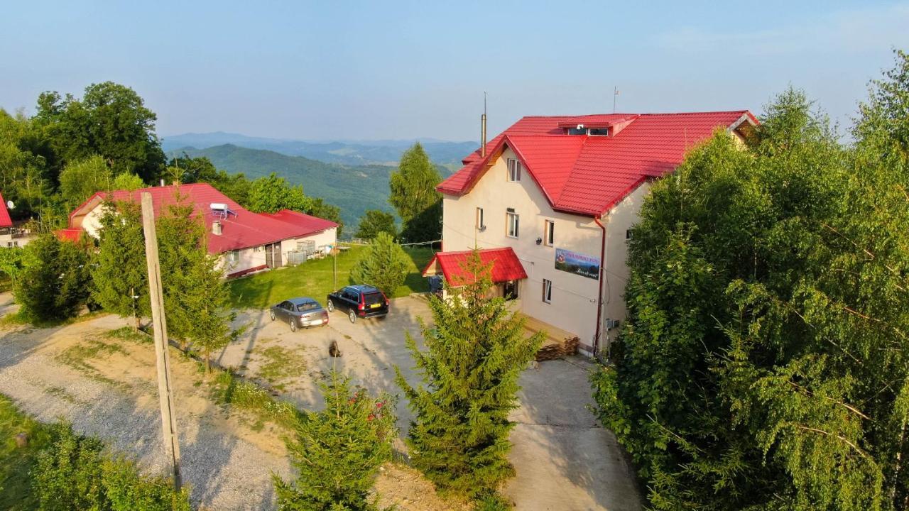 Pensiune Runcu Stone Exteriör bild