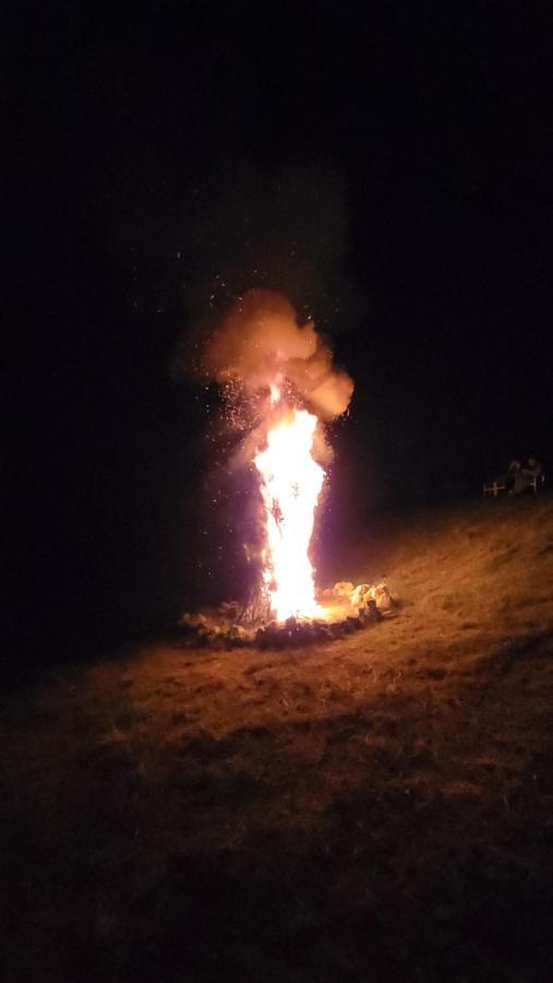 Pensiune Runcu Stone Exteriör bild